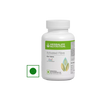 Activated Fiber - 90 Tablets
